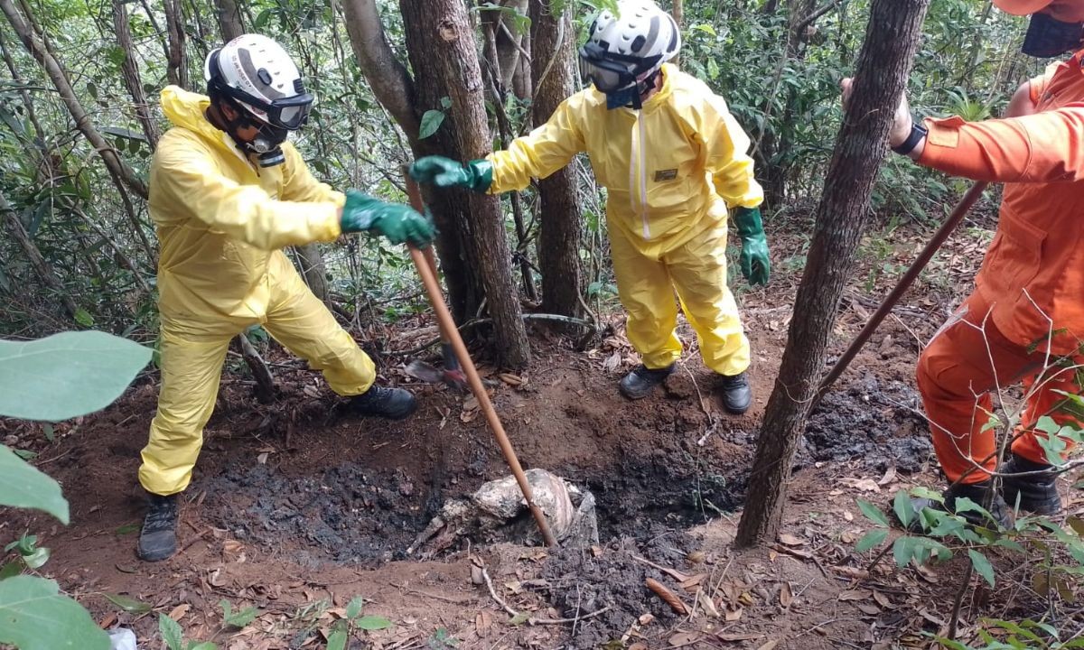foto Not&iacute;cia Salvador