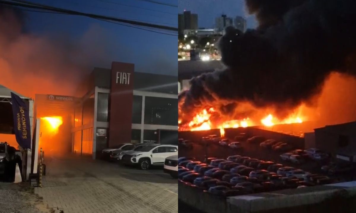 VÍDEO: incêndio atinge concessionária e população tenta salvar veículos na Bahia